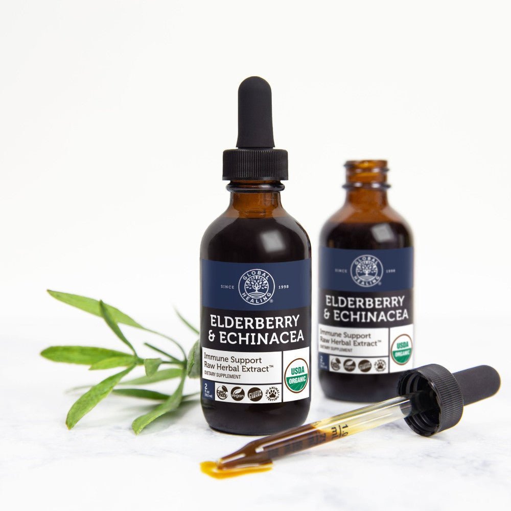 Elderberry and Echinacea Key for Boosting Your Immune System!