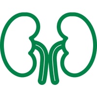 Supports Kidney Function