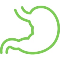 Image Of The Stomach And Intestines
