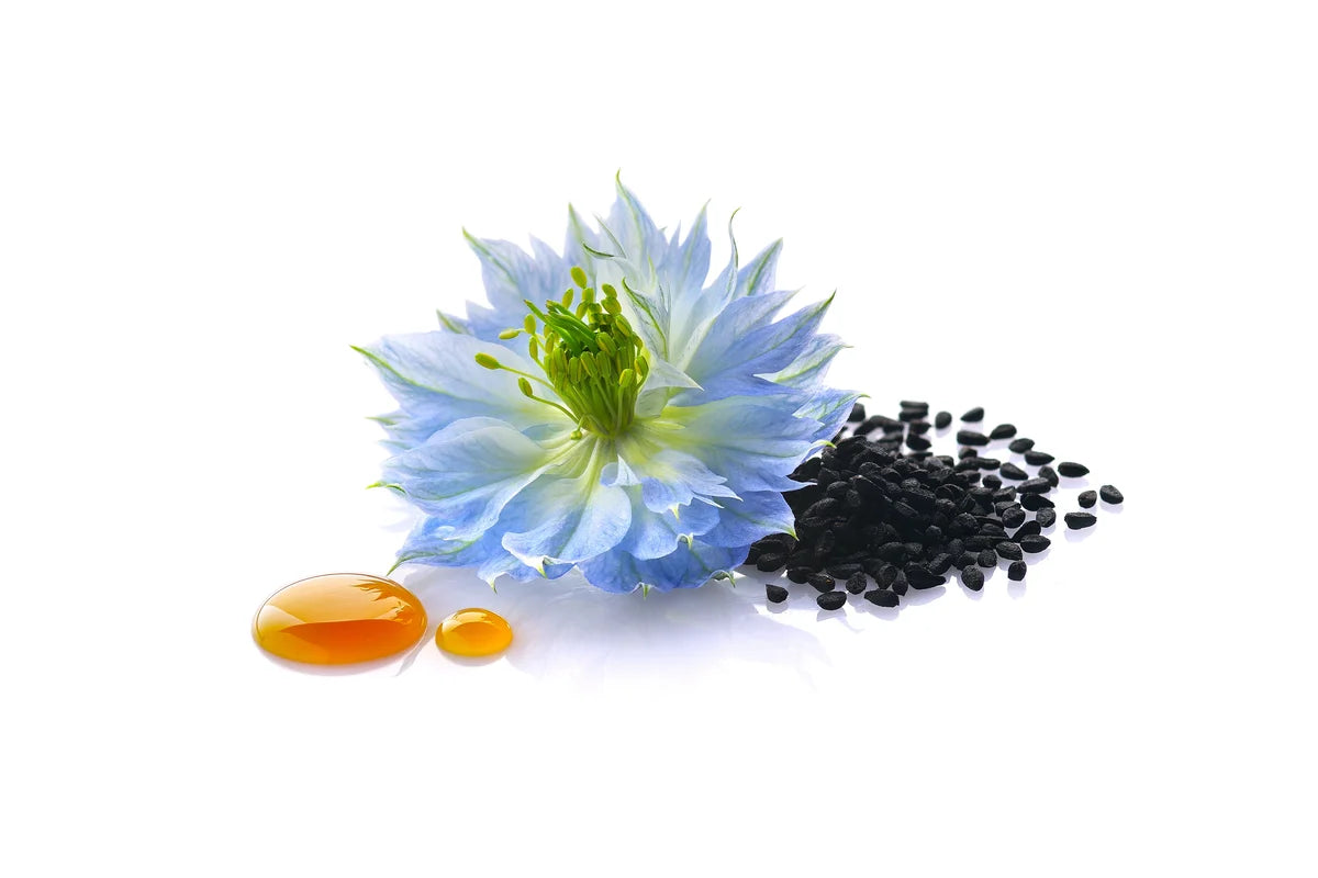 Paratrex II Black Seed Oil