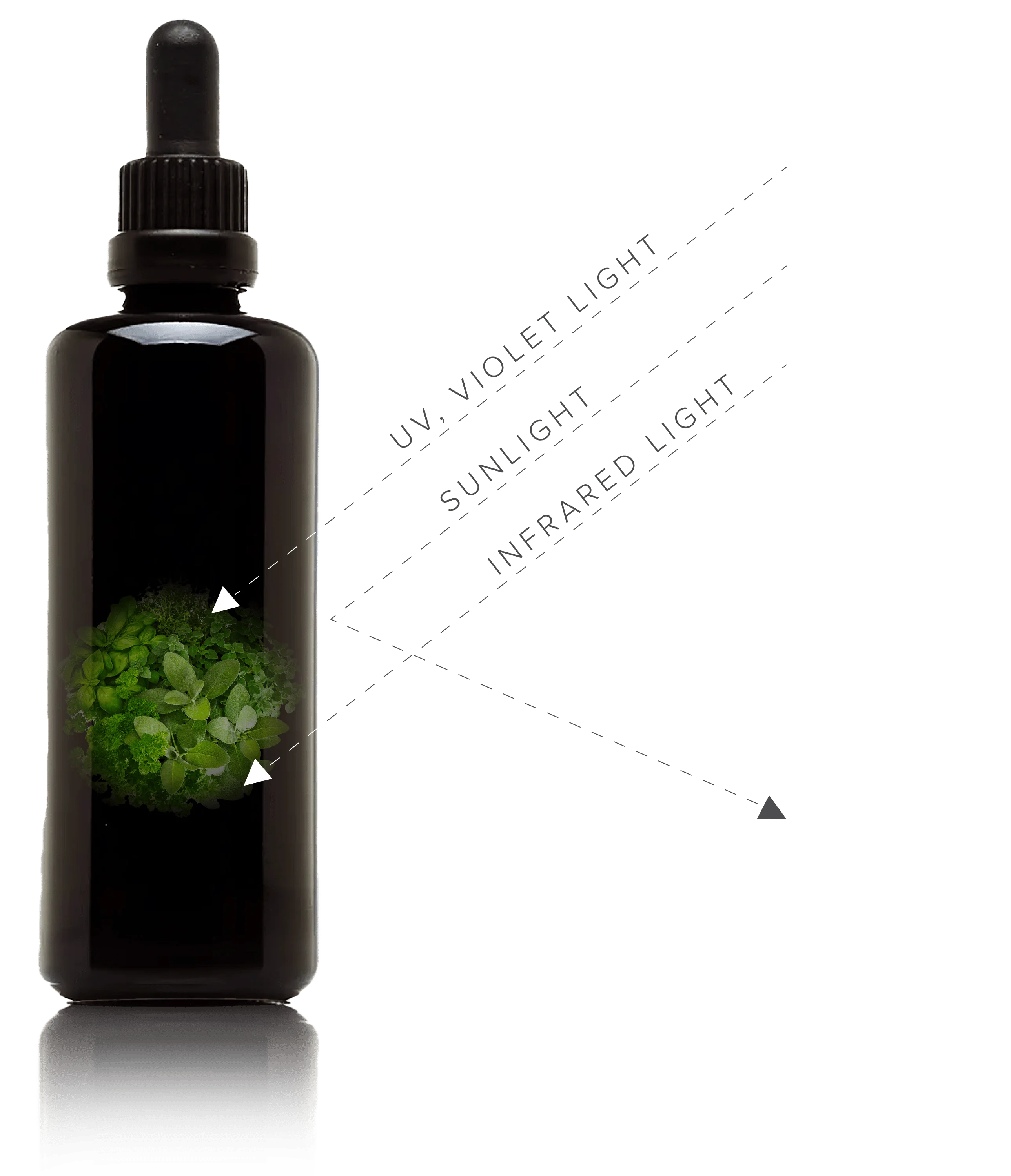 Global Healing Miron Bottle