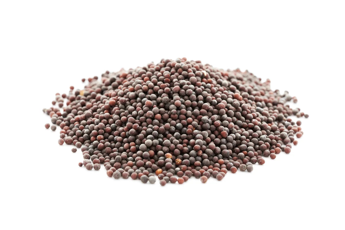 Mustard Seed