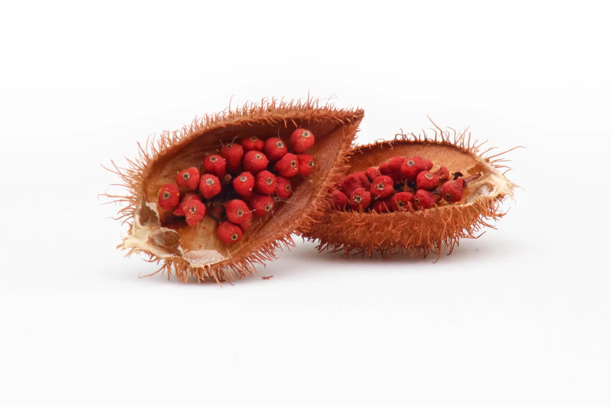vitamin-e-d-alpha-tocopherol-annatto