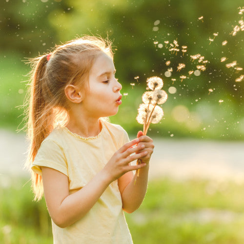 Young girl blowing dandelion seeds in the sun