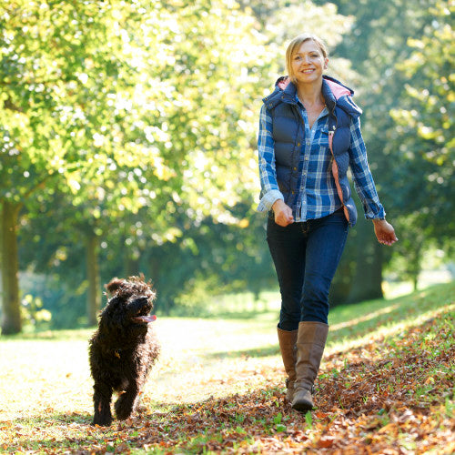 Woman walking a brown dog in the woods