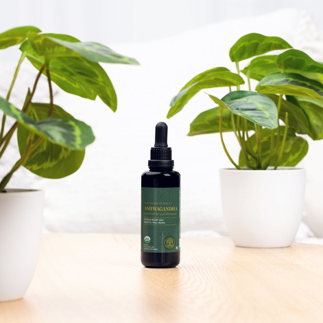 A bottle of Adaptogenic Stress Relief Ashwagandha on a table next to a potted plant for global healing.